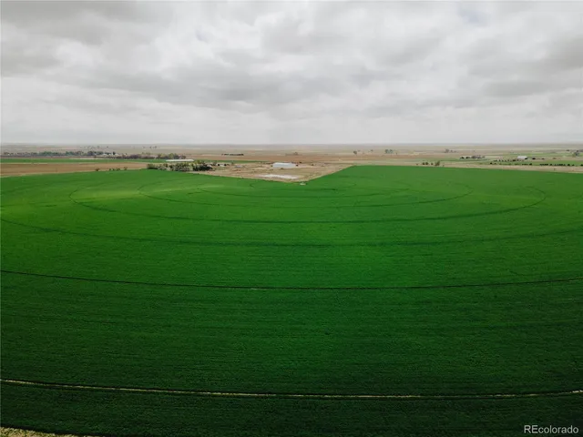 a backyard of a house with lots of green space and fog
