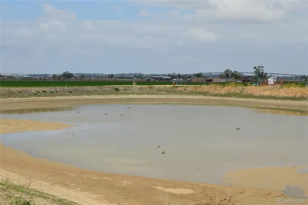 a view of an ocean and beach