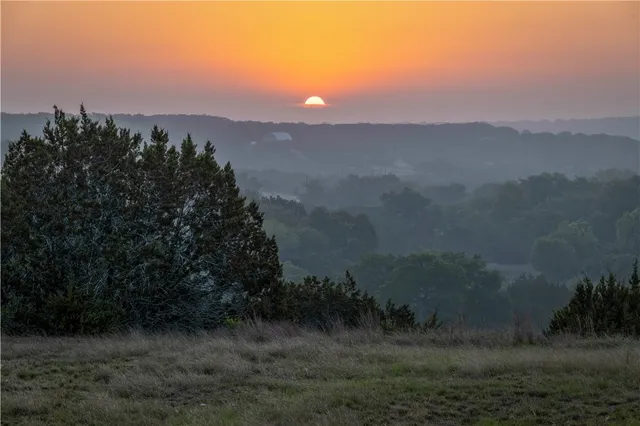 a view of a yard in front of a house