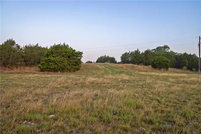a view of a field with trees in background