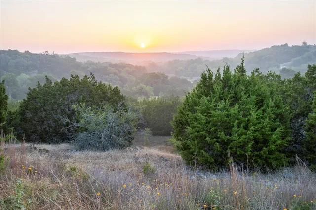 a view of a lush green forest with mountains in the background