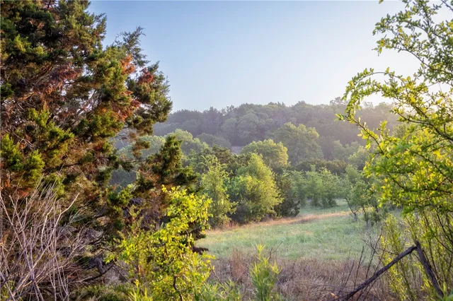 a view of a yard with a tree