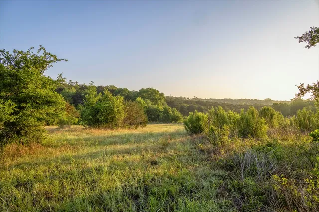 a view of an mountain with a garden