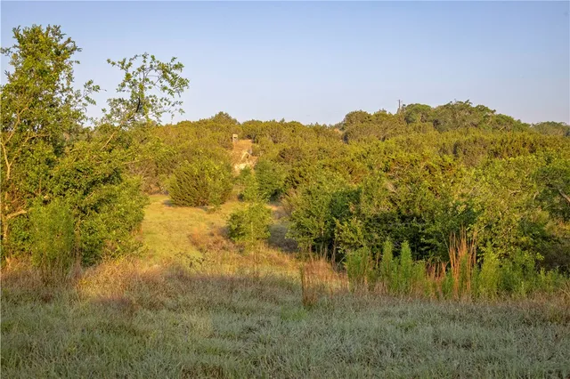 a view of a lake with a mountain