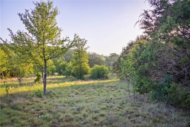 a backyard of a house with lots of trees