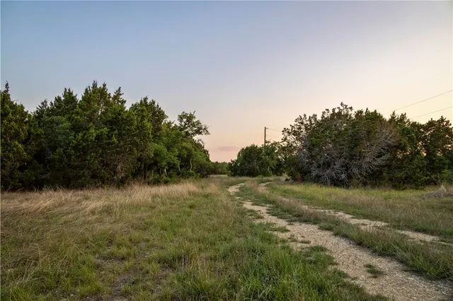 a view of a yard with a tree