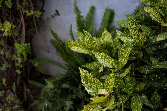 $600,500 | 603 1st Street, Woodland, CA 95695