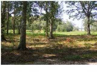 3 Henri Penne Road Breaux Bridge, LA 70517 - Photo 1 of 1 Primary Photo