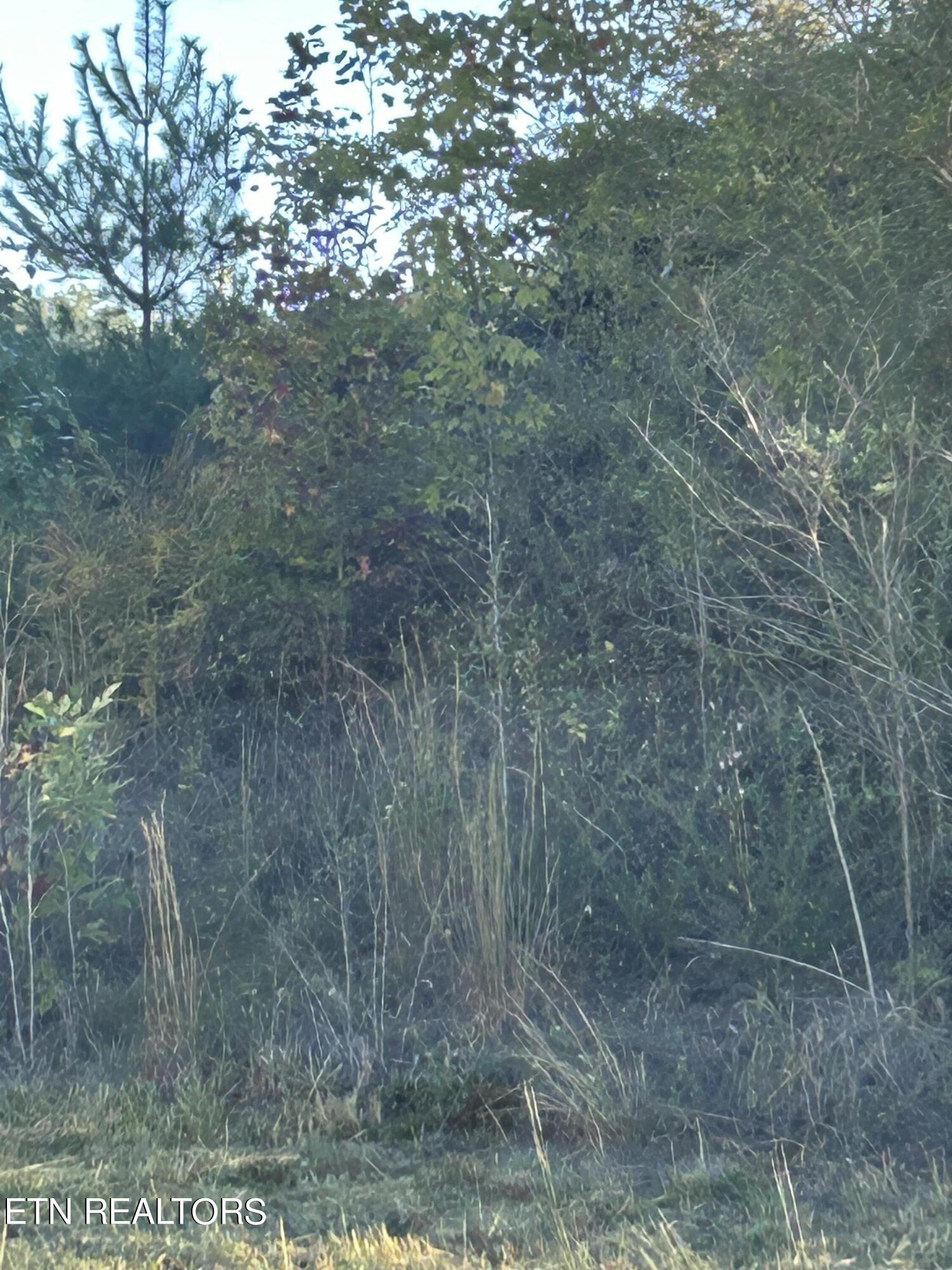 Abby Lane Jacksboro, TN 37757 - Photo 1 of 1 IMG_1411