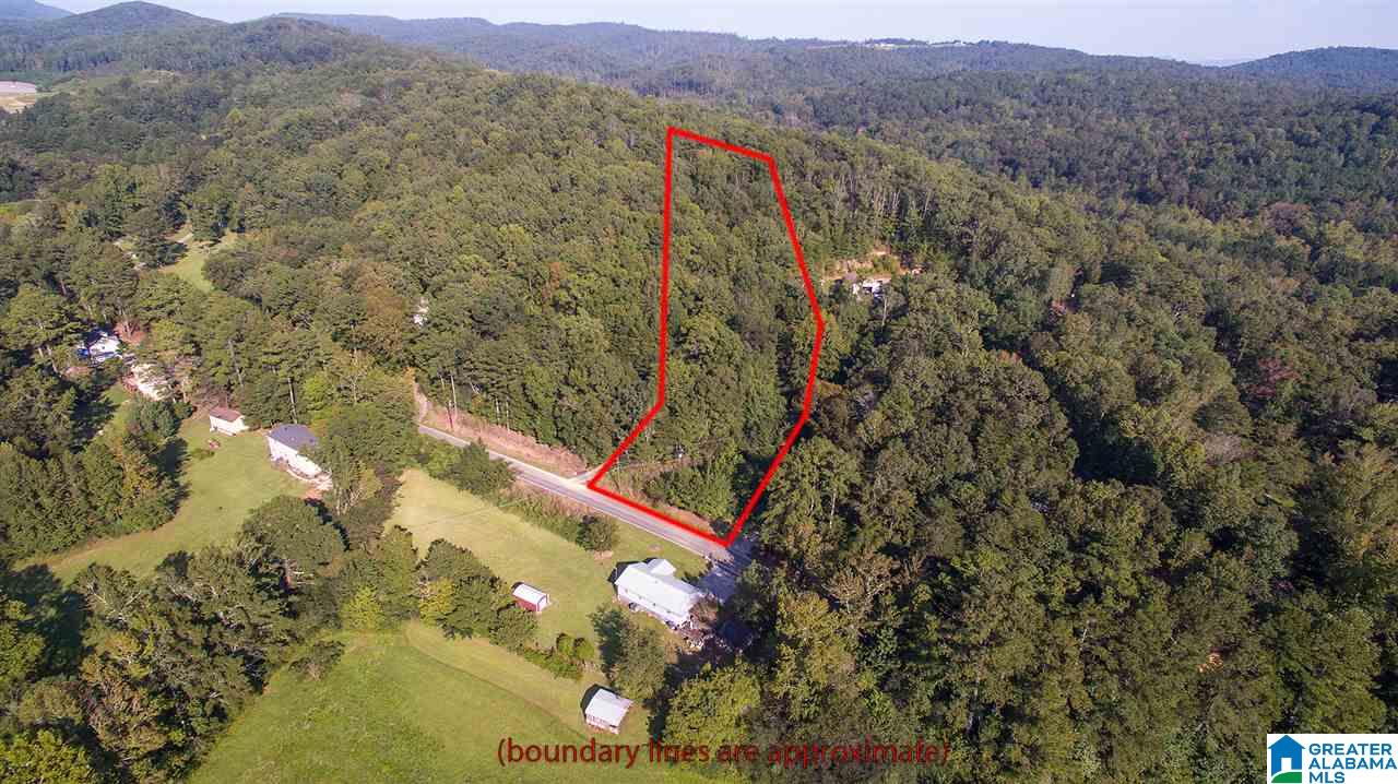 7132 Goodner Mountain Road Pinson, AL 35126 - Photo 7 of 14