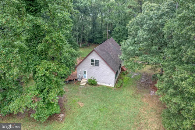 a view of a backyard with large trees and plants