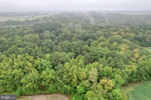 a view of a field of grass and trees
