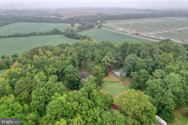 a view of a lake with a city