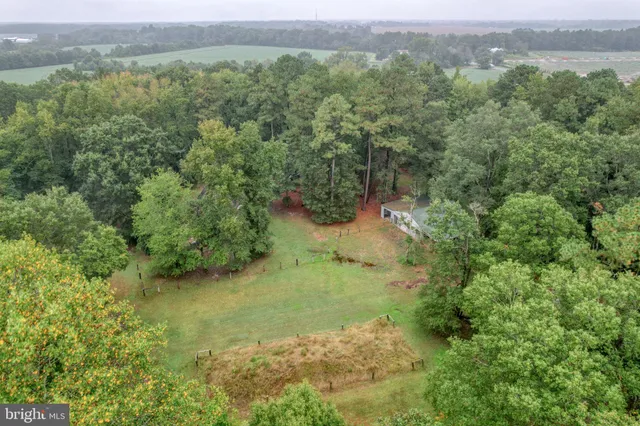 a view of a lush green forest with lots of trees