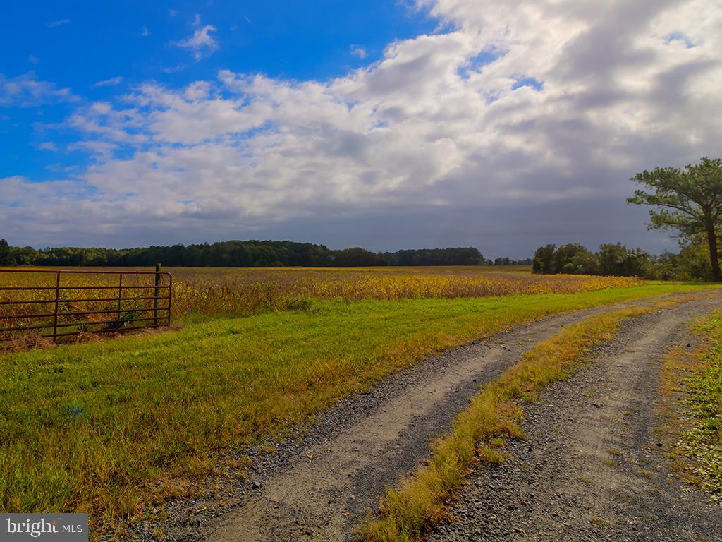 2 Graves Farm Road Milton, DE 19968 - Photo 33 of 68
