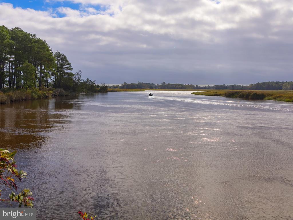 2 Graves Farm Road Milton, DE 19968 - Photo 38 of 68