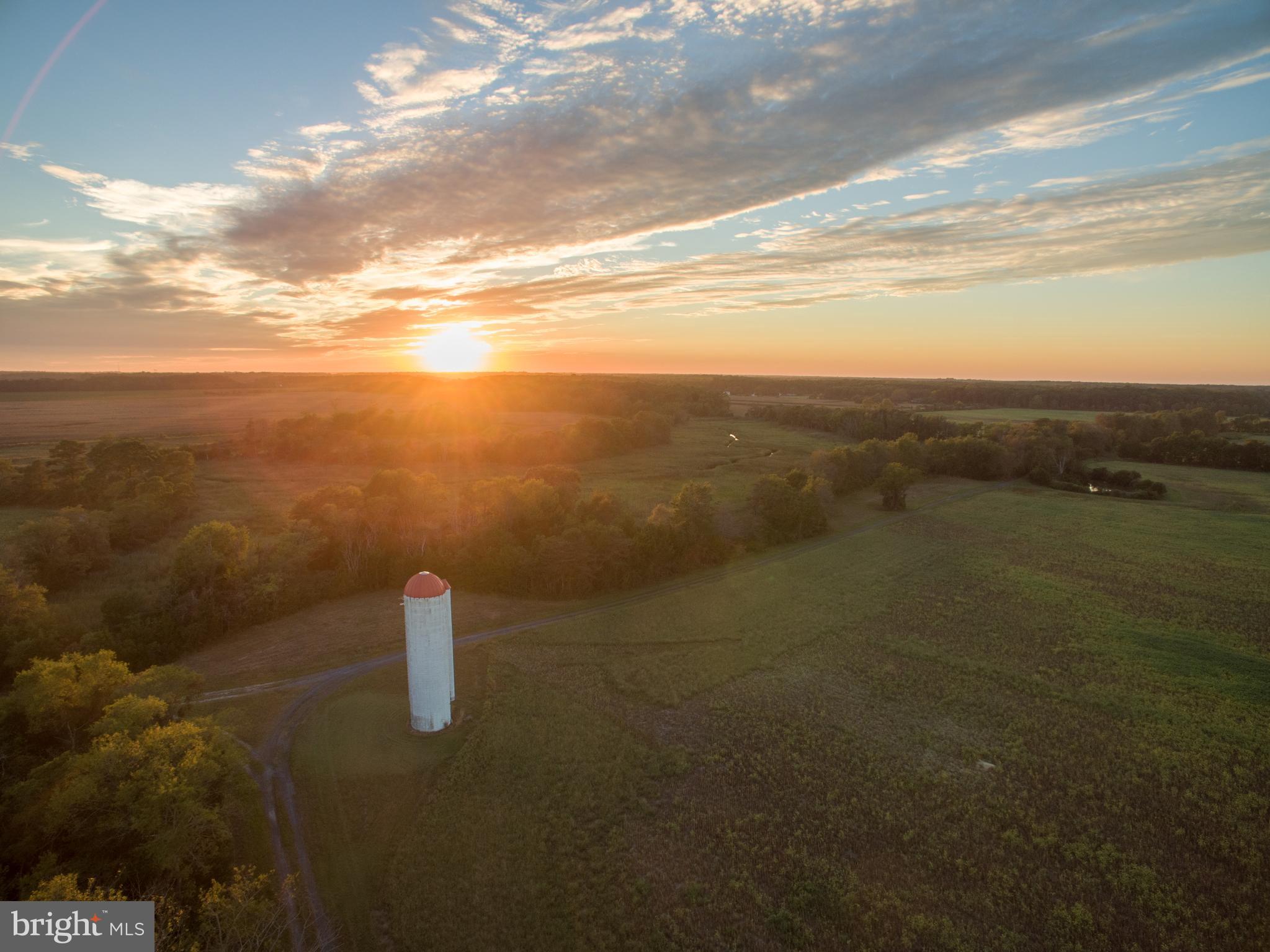2 Graves Farm Road Milton, DE 19968 - Photo 44 of 68