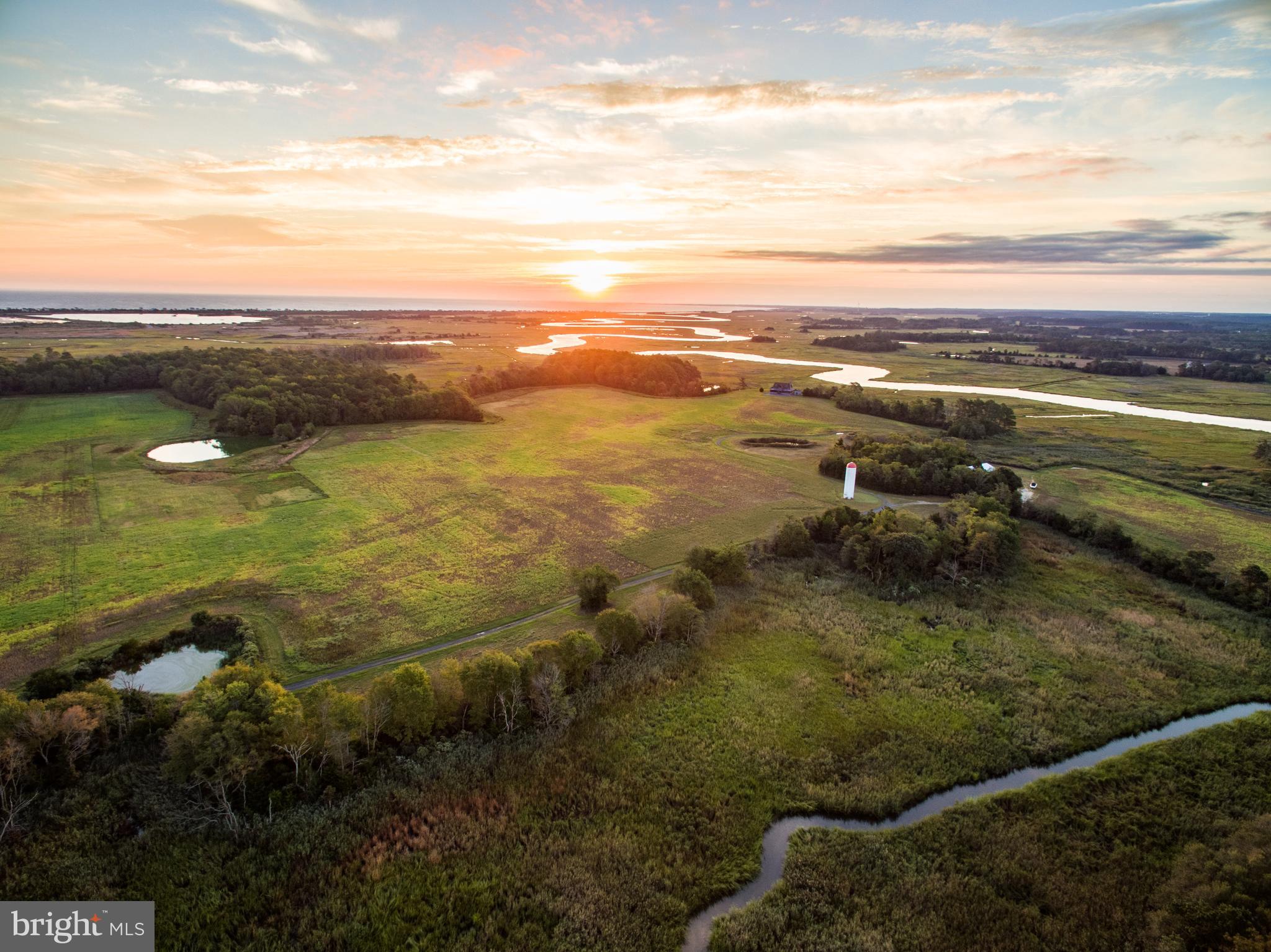 2 Graves Farm Road Milton, DE 19968 - Photo 46 of 68