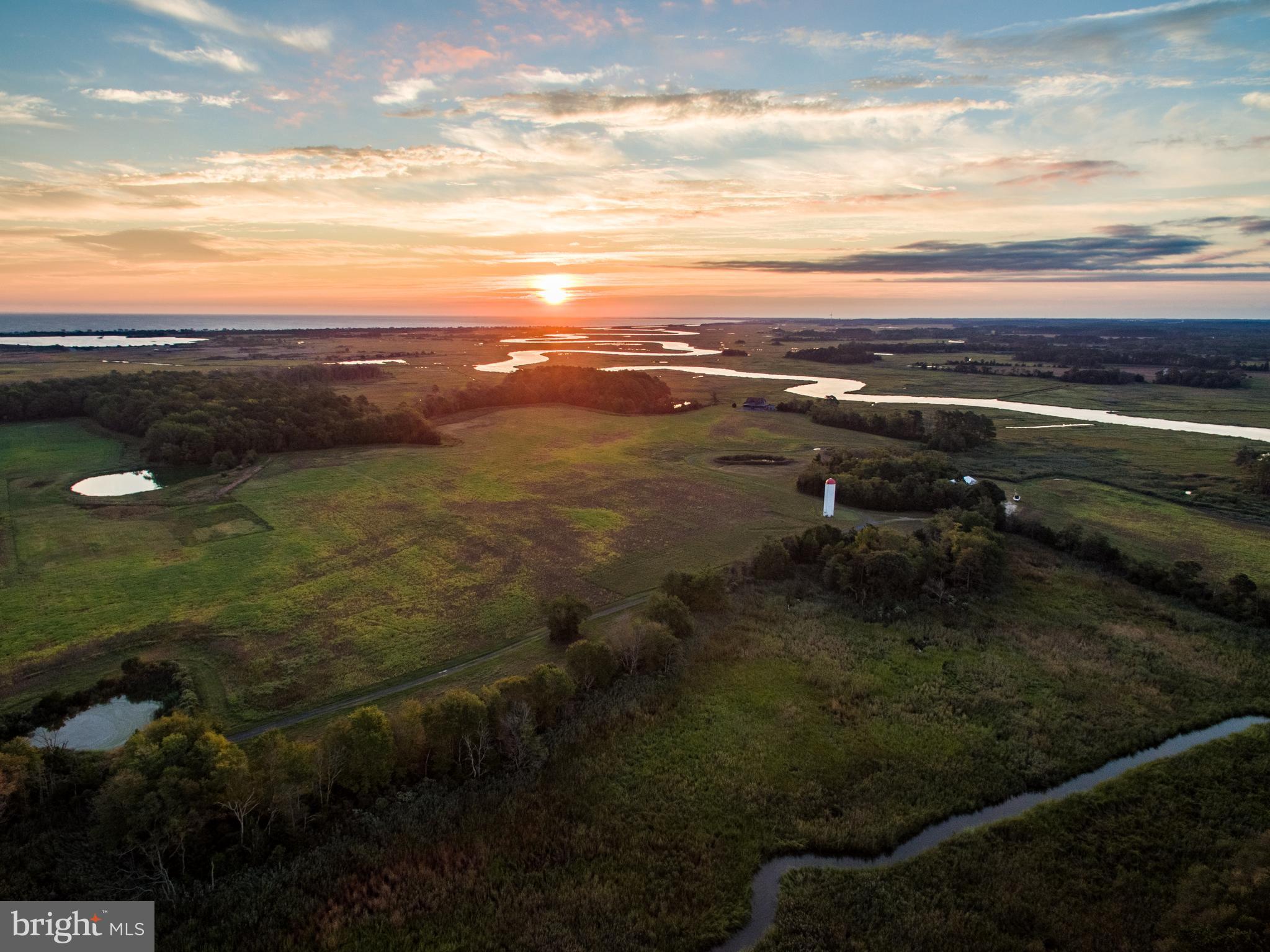 2 Graves Farm Road Milton, DE 19968 - Photo 48 of 68