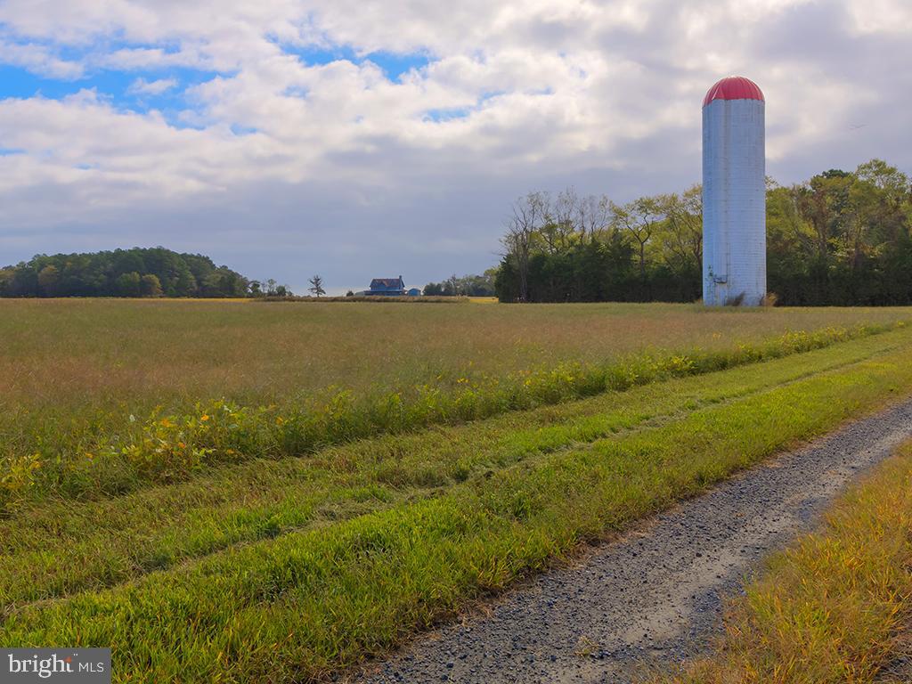2 Graves Farm Road Milton, DE 19968 - Photo 53 of 68