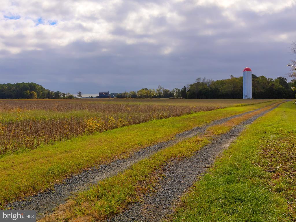 2 Graves Farm Road Milton, DE 19968 - Photo 54 of 68