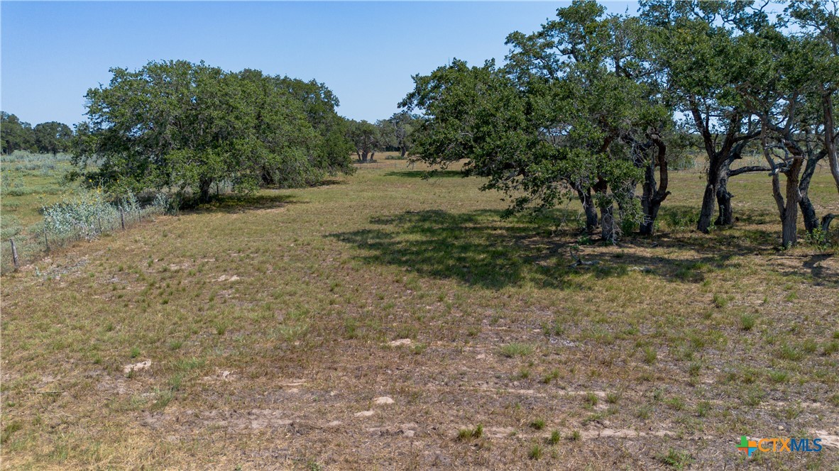 3752 Farm To Market 77 Nixon, TX 78140 - Photo 14 of 48 a backyard of a house with lots of green space
