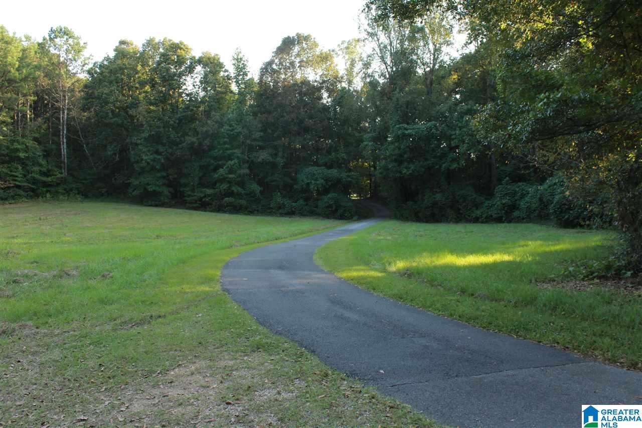 0 Hidden Valley Trail Oneonta, AL 35121 - Photo 4 of 5