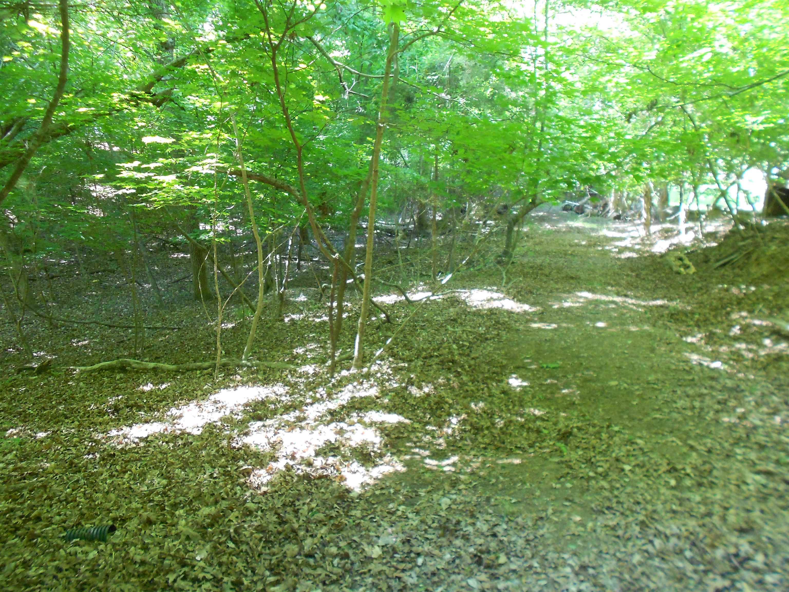 Lot 15-16 Cypress Road Clover, SC 29710 - Photo 2 of 15