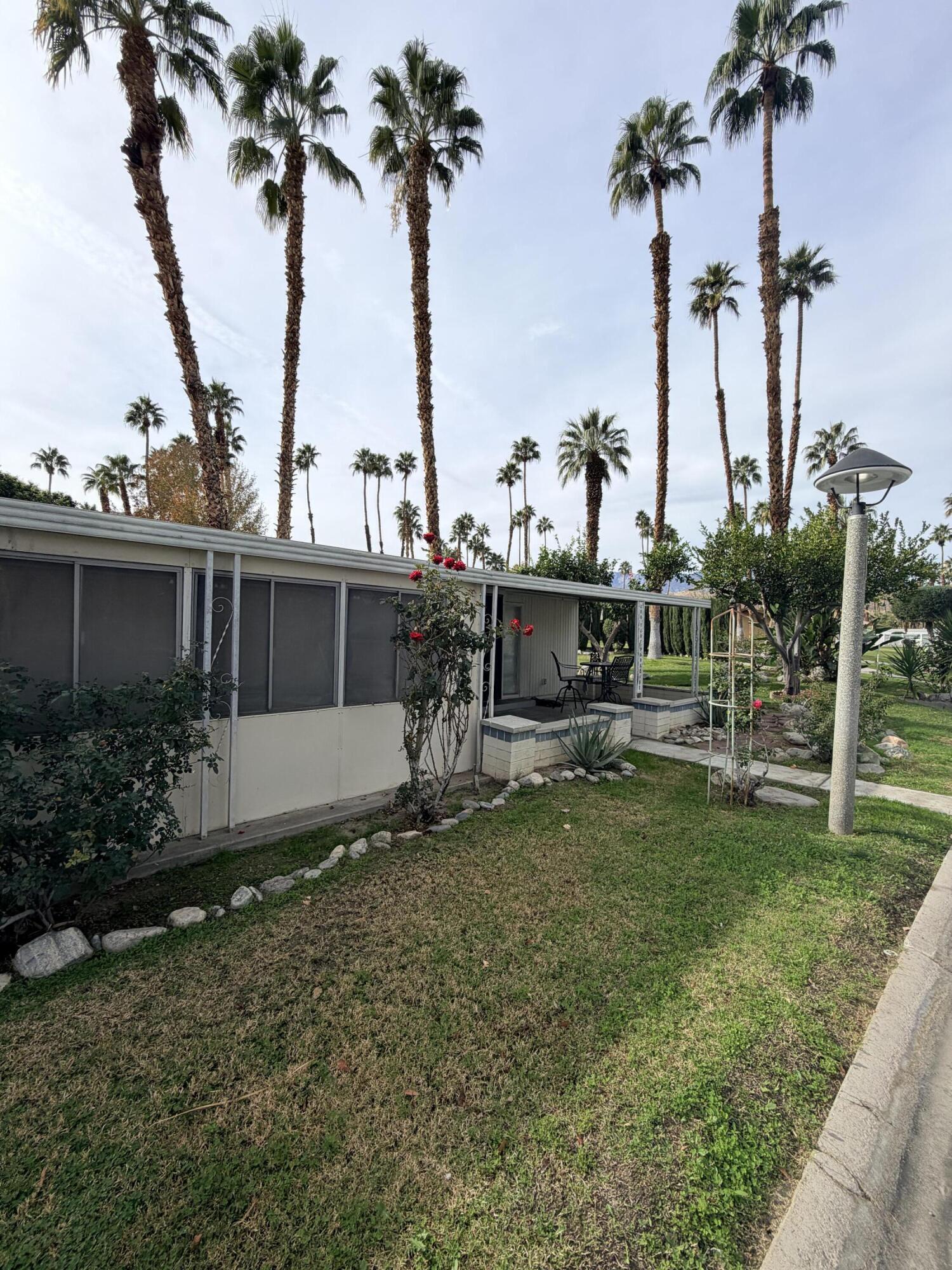 288 Turf Paradise Street Rancho Mirage, CA 92270 - Photo 7 of 18 a view of a garden with a tree