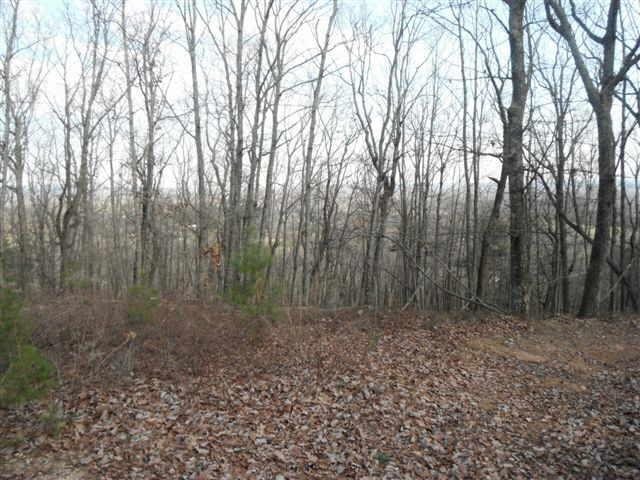 0 Hidden Meadows Road, Unit LT 15 Cleveland, GA 30528 - Photo 1 of 1 Gallery Image 1