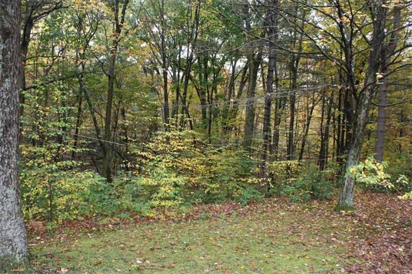 21 River Road Erving, MA 01344 - Photo 3 of 13 Gallery Image 3
