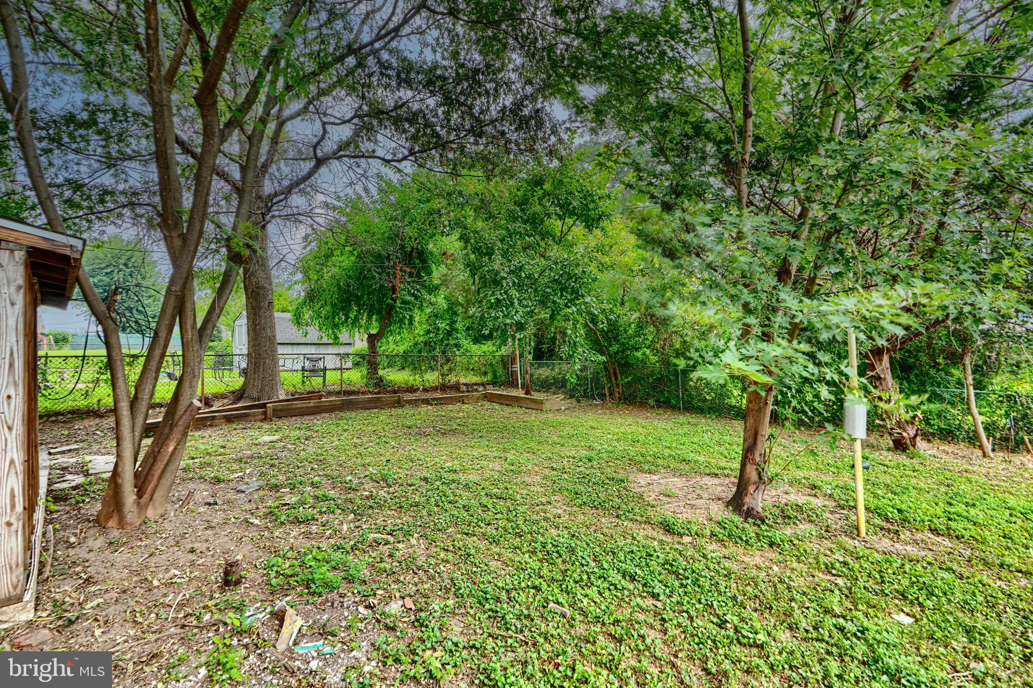 1813 Weyburn Road Baltimore, MD 21237 - Photo 39 of 39 a view of a yard with a tree