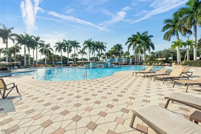 a view of a swimming pool with a lawn chairs and palm tree