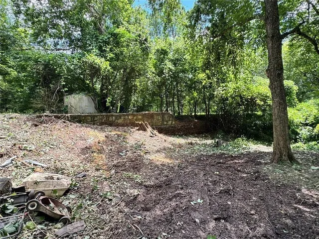 a view of a forest that has large trees