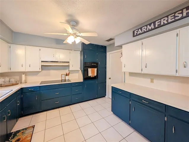 a kitchen with a sink a stove and cabinets