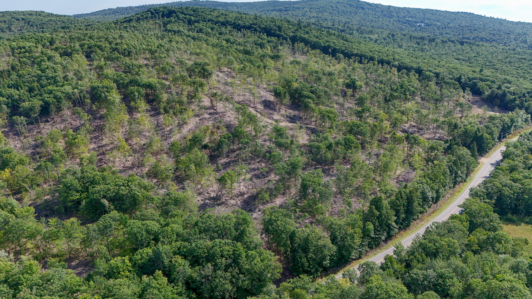 40.9 Streaked Mountain Road Hartford, ME 04220 - Photo 23 of 25 dji_fly_20240718_163606_0055_17213513964