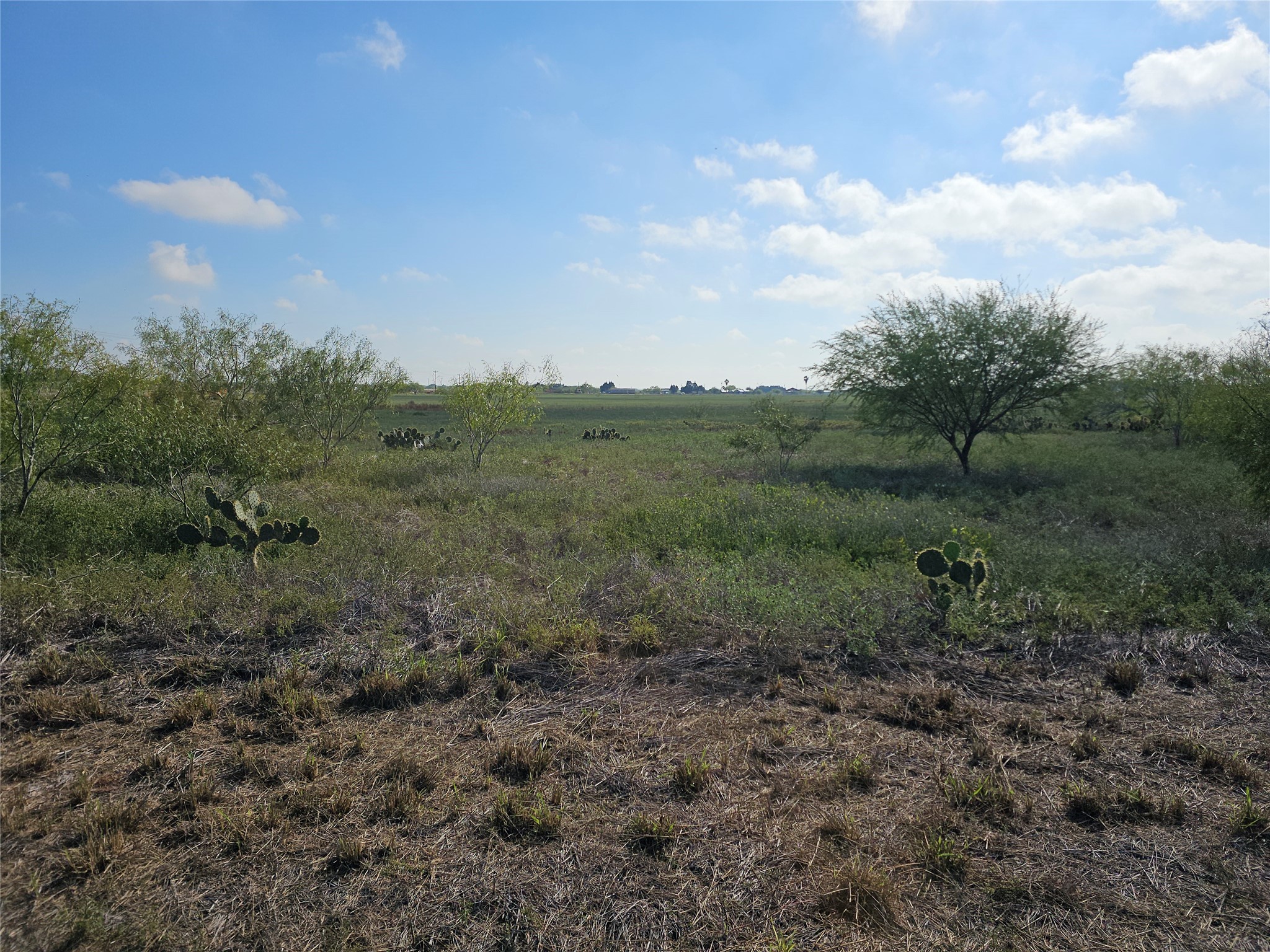 0 San Jose Ranch Road San Benito, TX 78586 - Photo 11 of 16 a view of a field of grass and trees