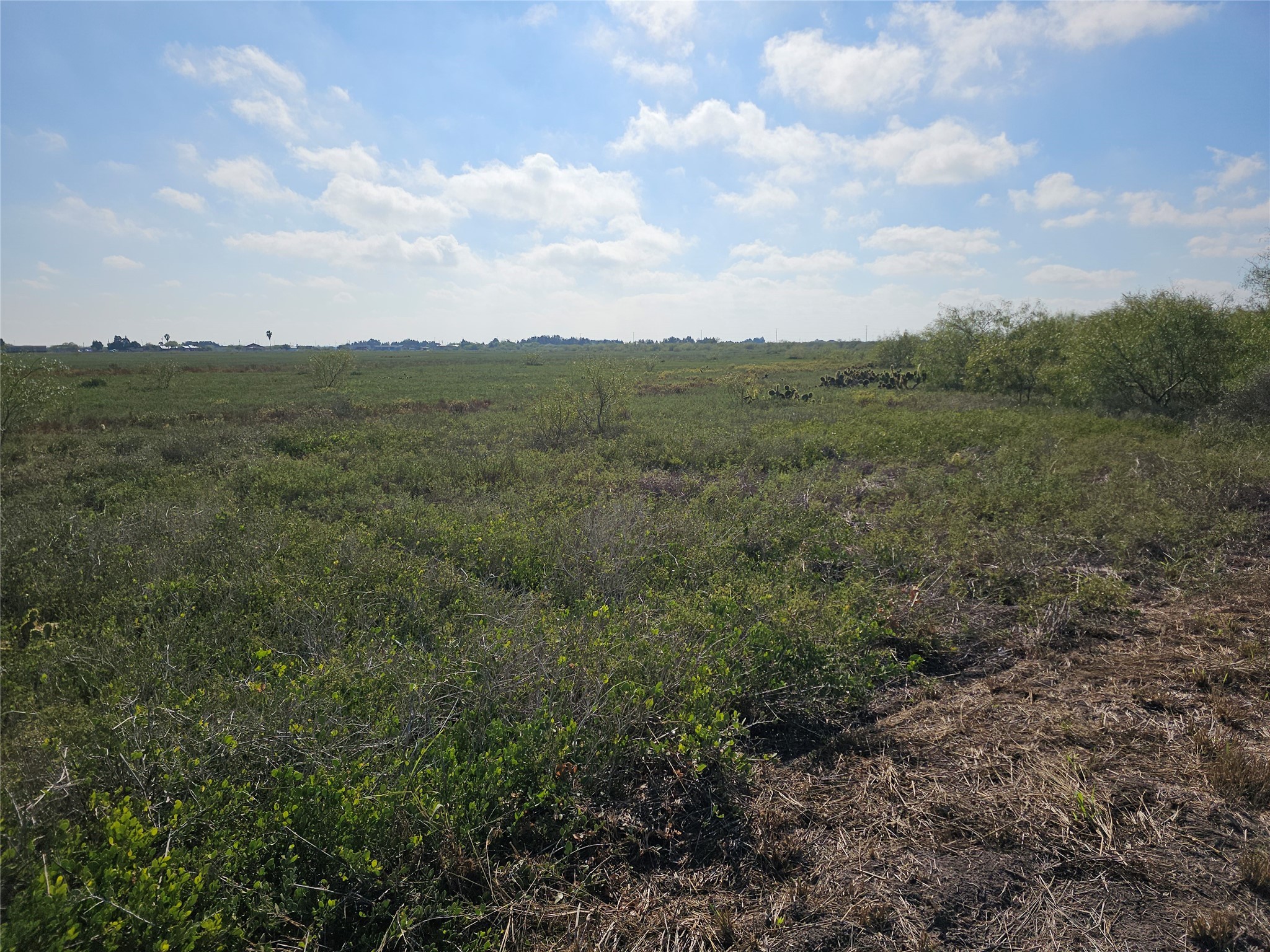 0 San Jose Ranch Road San Benito, TX 78586 - Photo 14 of 16 a view of a green field with lots of bushes