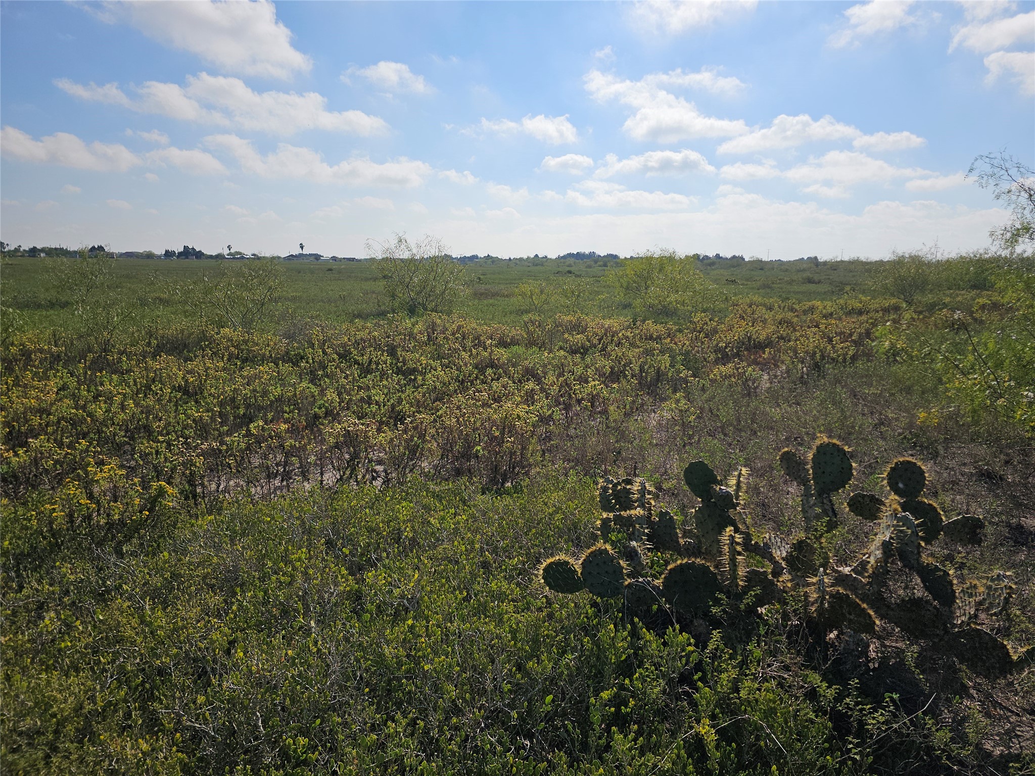 0 San Jose Ranch Road San Benito, TX 78586 - Photo 7 of 16 a view of a bunch of trees and houses