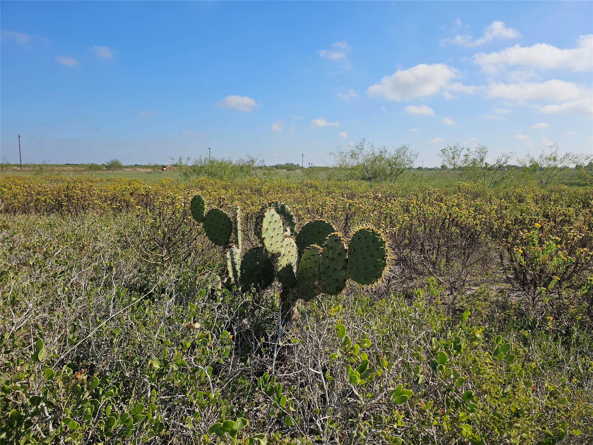 0 San Jose Ranch Road San Benito, TX 78586 - Photo 8 of 16