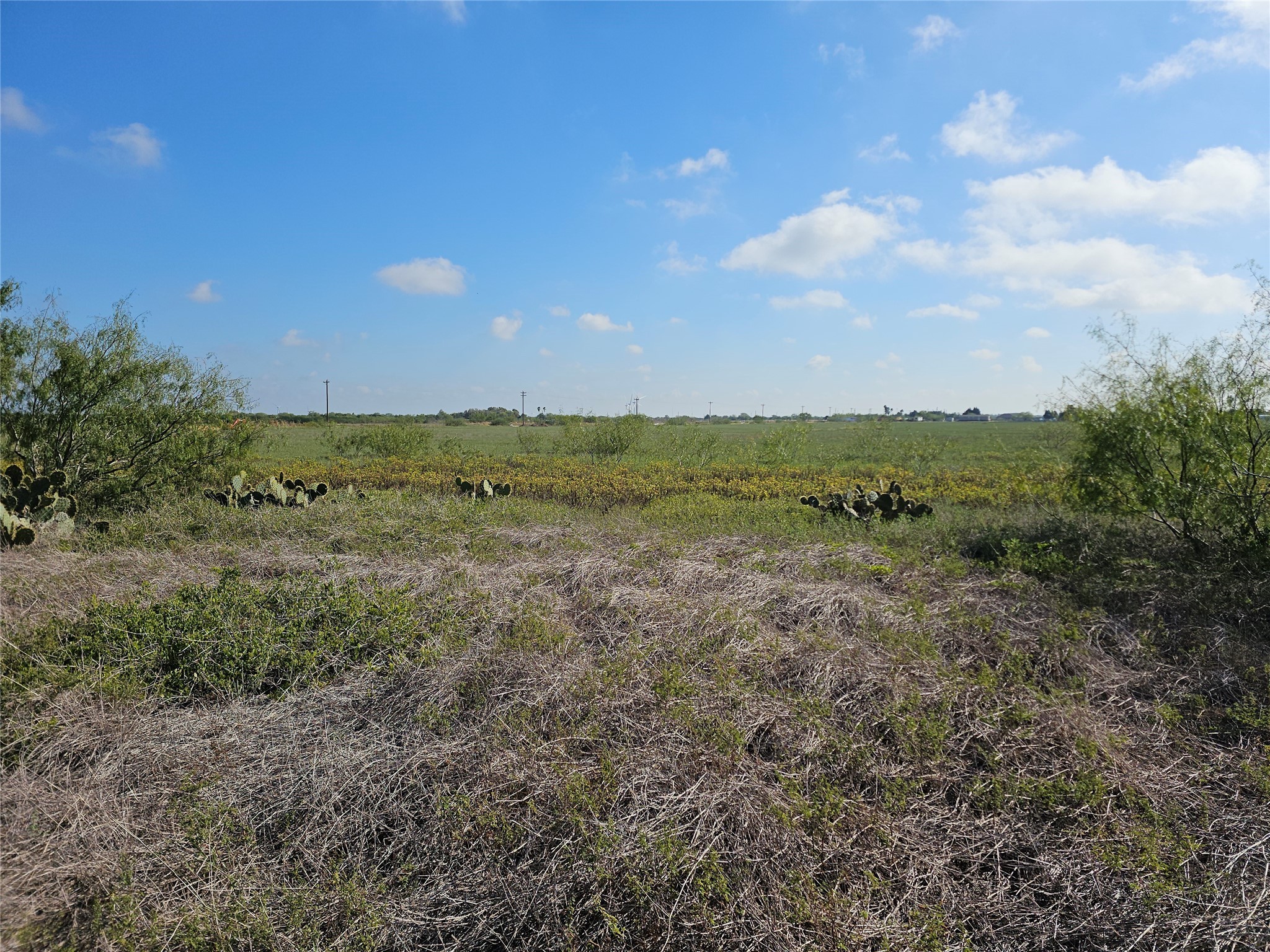 0 San Jose Ranch Road San Benito, TX 78586 - Photo 9 of 16 a view of an outdoor space and a yard