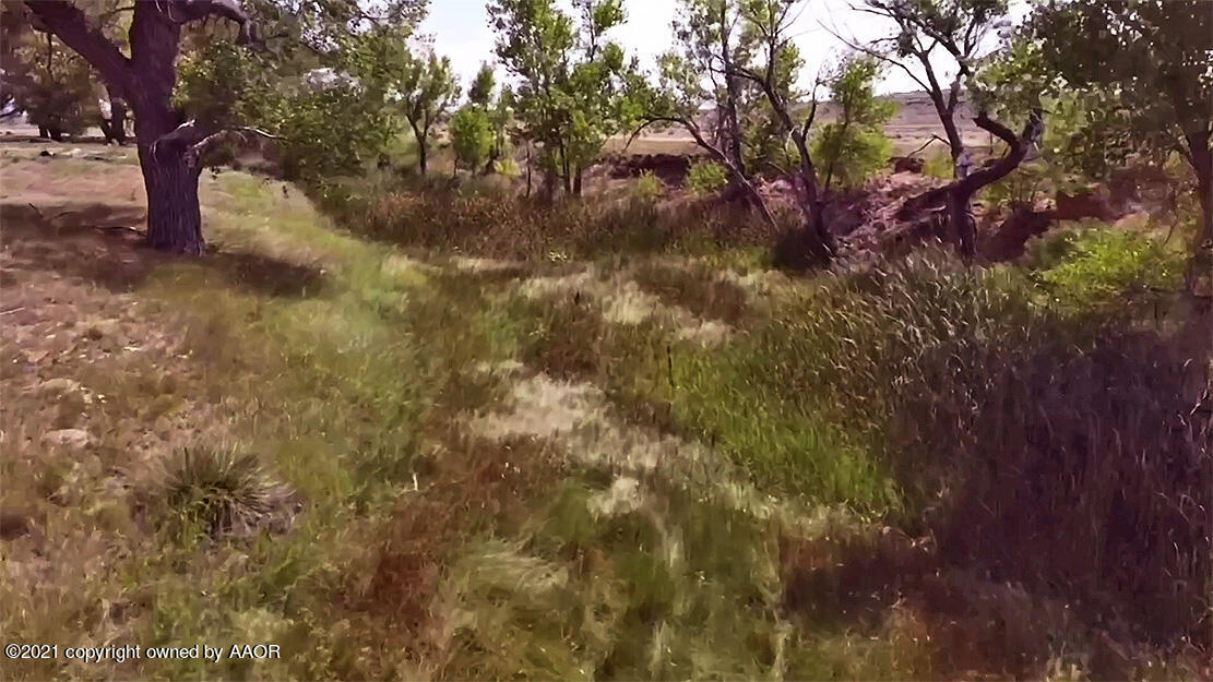 1105 Clapham Road Clayton, NM 88415 - Photo 29 of 31 DaviesClayton_0013_12