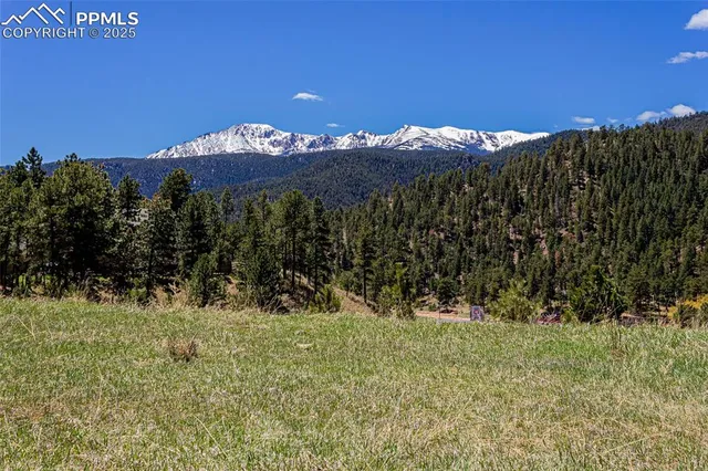 a view of an outdoor space and a yard