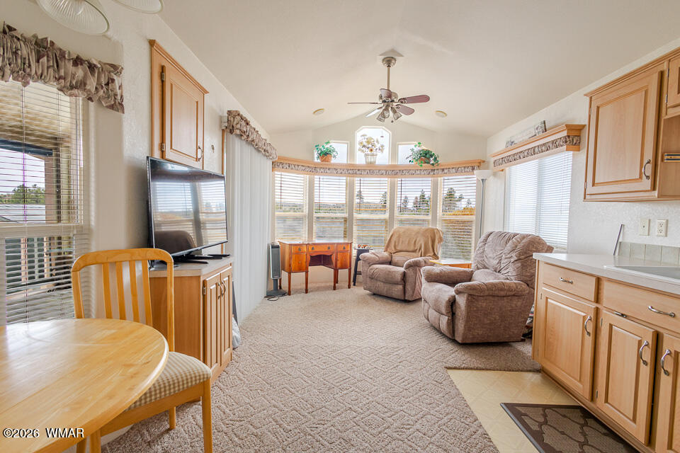2217 Rodeo Road Overgaard, AZ 85933 - Photo 12 of 35 View of the National Forest from the living room.