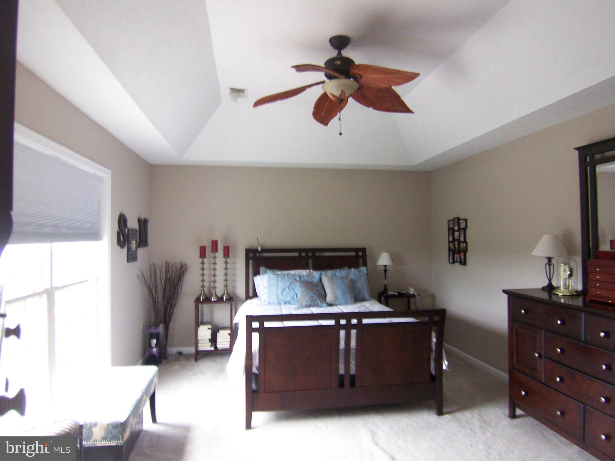 123 Canyon Road Winchester, VA 22602 - Photo 16 of 29 Bedroom (Master)