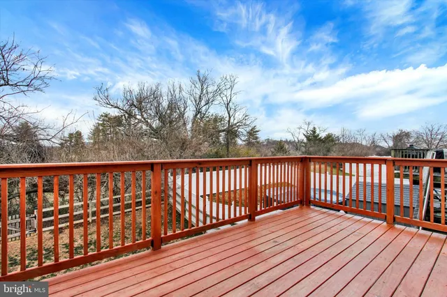 a view of a backyard with trees