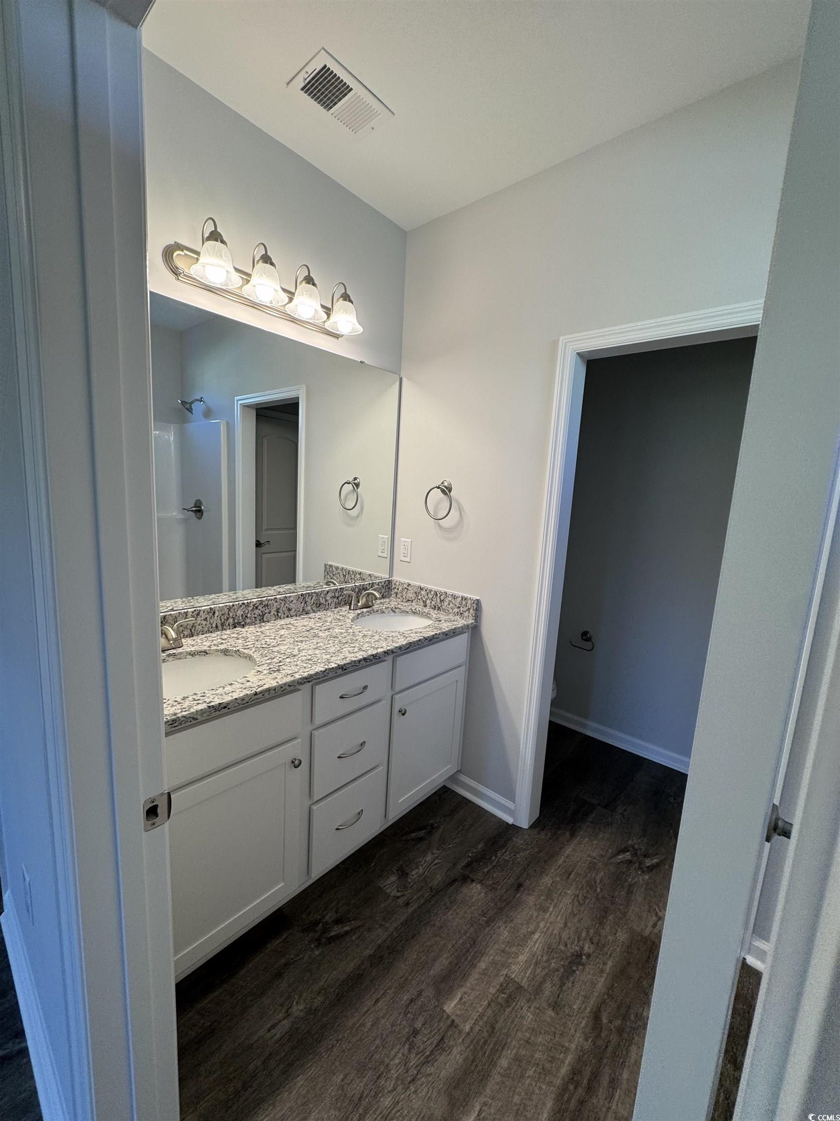 594 Shallow Cv Drive Conway, SC 29527 - Photo 22 of 29 Full bath with dark wood-style floors, double vani