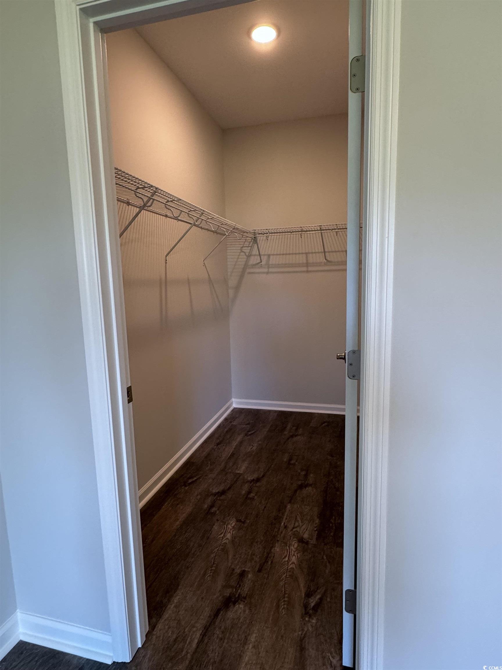 594 Shallow Cv Drive Conway, SC 29527 - Photo 24 of 29 Spacious closet featuring dark wood-style flooring