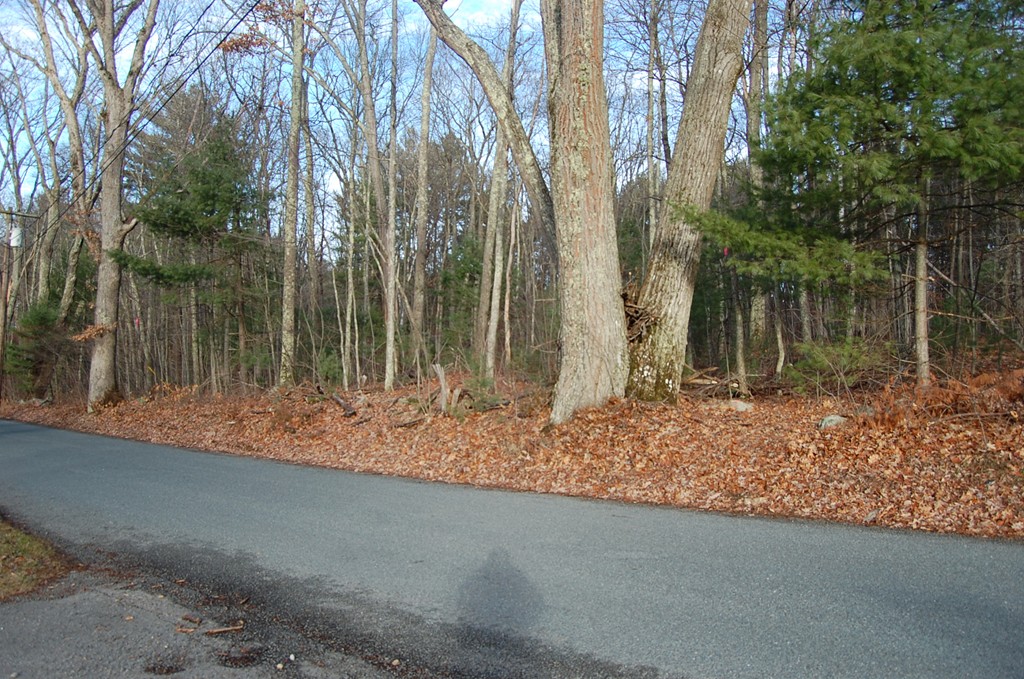 16 Mill Road North Brookfield, MA 01535 - Photo 4 of 4