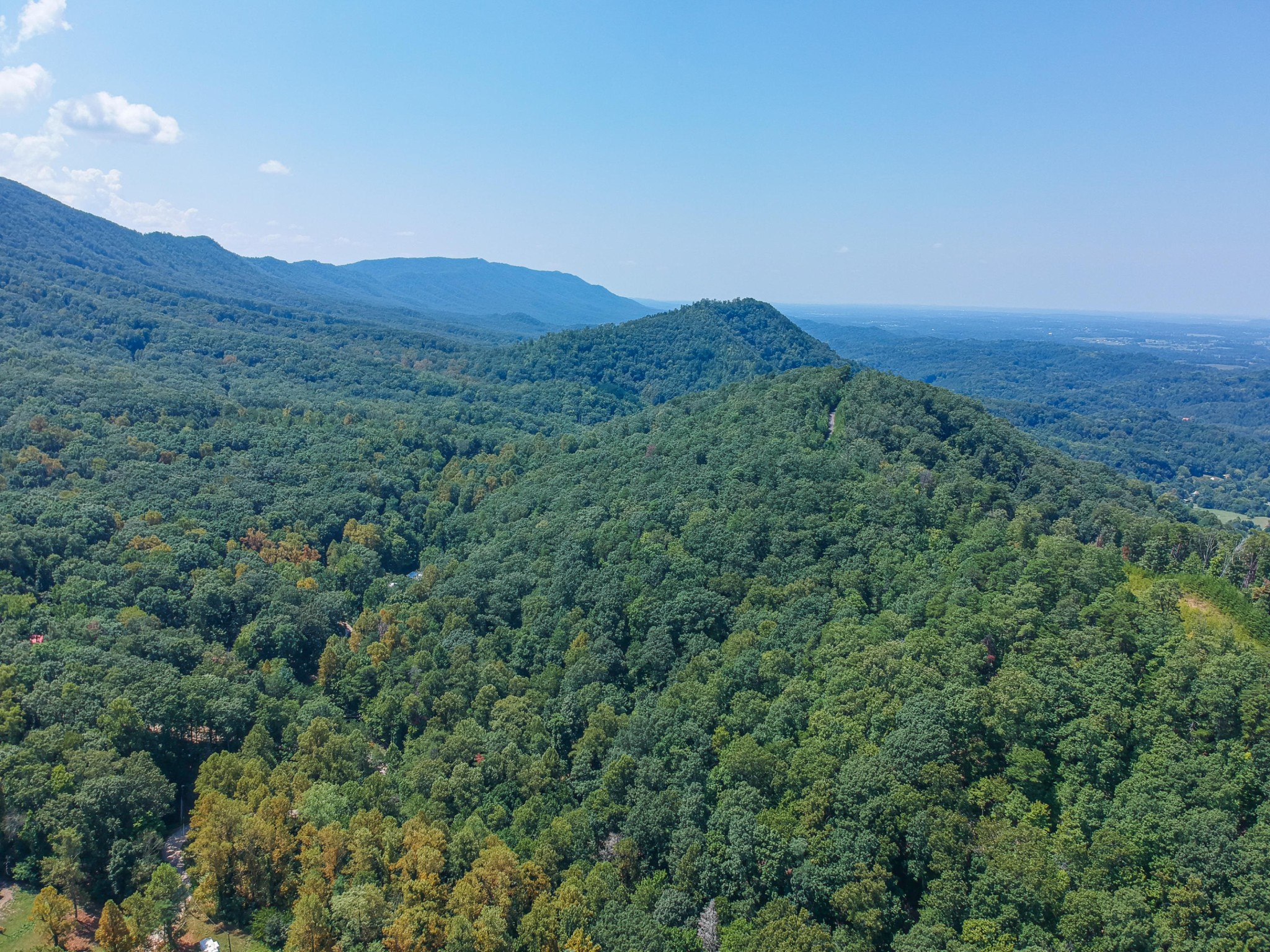 953 Goose Creek Road Seymour, TN 37865 - Photo 9 of 22 Gallery Image 9
